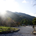 Arashiyama 021_2.jpg